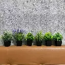plante artificiel 3.webp