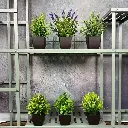 plante artificiel4.webp