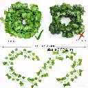 Feuillage lierre artificiel3.webp
