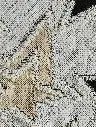 a1cf315b-7086-48a0-a4e4-1c6d1b39a77a.webp