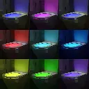 toilette avec 16 couleurs3.webp