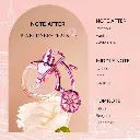 4.webp