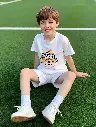 112e23fb-354c-4a74-9a24-fdd9bd80a3fa.webp