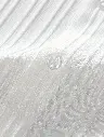 f421c22b-bcc9-491f-9a55-09d86f8c7a94.webp