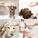 1729049154961-ae6f68c2fcde4fa68f2414e07f522207-goods.webp