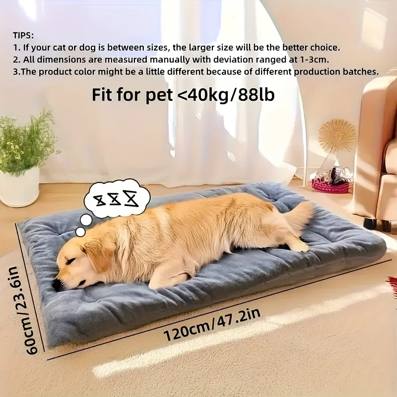 8df728ca-b820-4c28-8ce0-14ba248f1cc3.webp