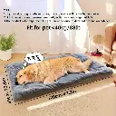 8df728ca-b820-4c28-8ce0-14ba248f1cc3.webp