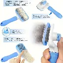 0803ac8d-042f-4ca3-9870-6c144919b3d1.webp