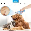 f51653d1-7a24-4831-acb9-db3cf174f5b9.webp
