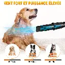 cbc3b3cd-69a9-41b2-92e7-38903bf3f550.webp