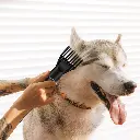 1f96f987-26f2-4603-a20b-b48cbda14149.webp