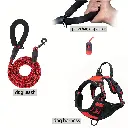 8ebe0002-377a-48f8-b28e-6a338b22bc12.webp