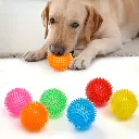 284c5579-7d61-435e-b376-81801fc163d2 (1).webp