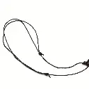 100.webp
