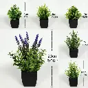 Pots Noirs Artificiels avec Plantes Vertes