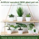 Décoration 6 plantes miniatures artificielles en pot