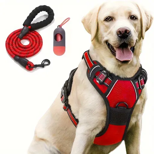 Harnais pour Chien Réglable avec Laisse et Distributeur de Sacs à Crotte